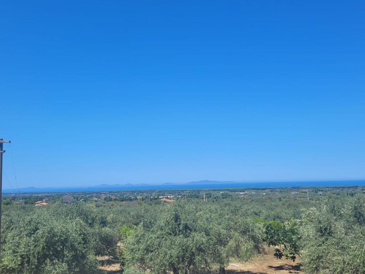 Villa Maddalena Guest House Sorso Dış mekan fotoğraf