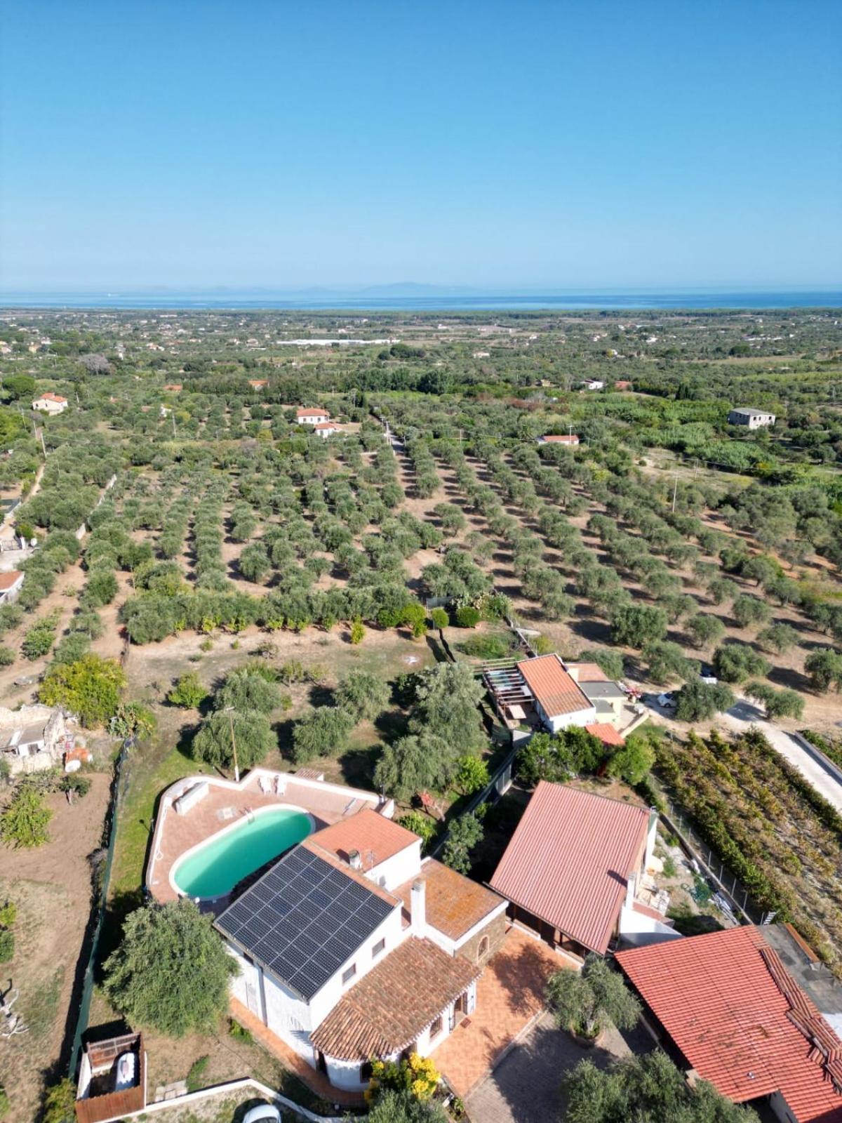 Villa Maddalena Guest House Sorso Dış mekan fotoğraf